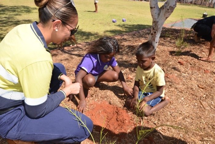 Wickham Lions Park Planting Project