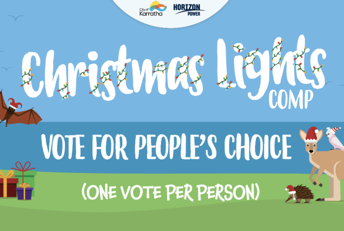 People's choice voting